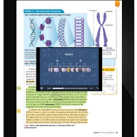 Kno Now Offers K-12 Digital Textbooks with 1 Year Rentals for $10 Kno K-12 Digital Textbooks