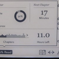 Kobo Reading Stats