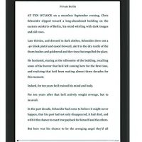 8-inch E Ink eBook Readers Comparison List Icarus Illumina XL