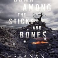 Free Tor eBook: Down Among the Sticks and Bones by Seanan McGuire DownAmongSticksBones_McGuire
