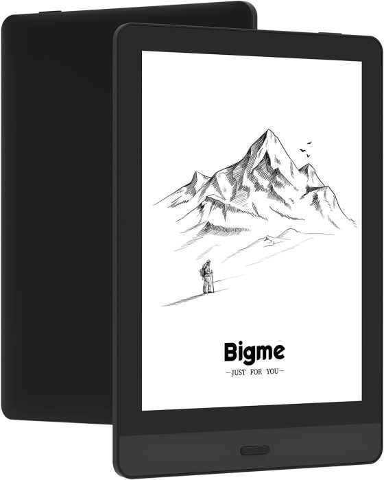 Bigme Read eReader