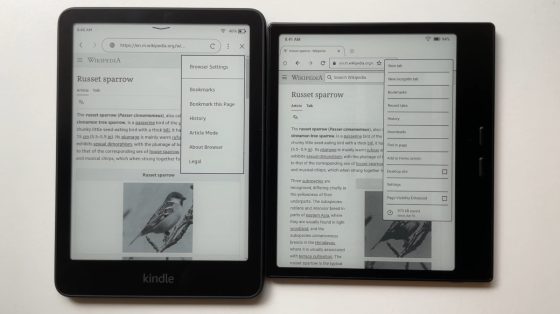 Kindle Paperwhite vs Boox Go 7