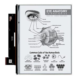 Higher PPI E Ink Screens