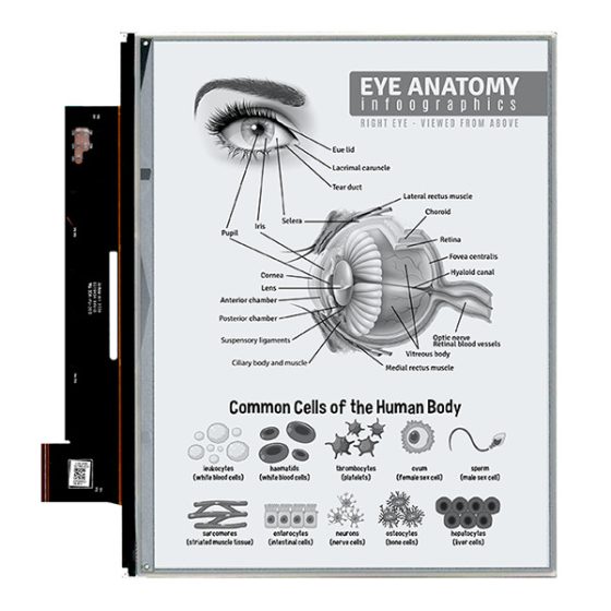 Higher PPI E Ink Screens