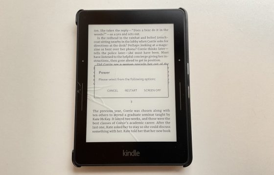 Kindle Voyage Screen Broke
