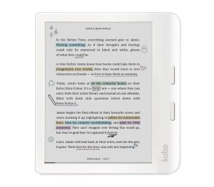 Kobo Boot Loop Bug