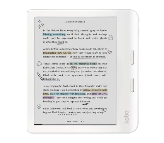 Kobo Boot Loop Bug