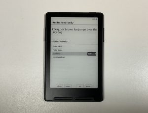 Xteink Custom Fonts